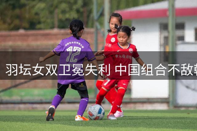 羽坛女双卫冕失利 中国组合不敌韩国强档无缘六连冠