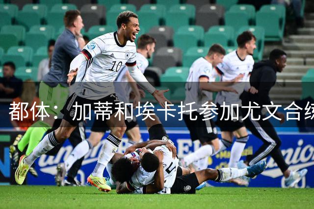 都体：加蒂和埃卡托参加尤文合练 不排除伊尔迪兹保守治疗